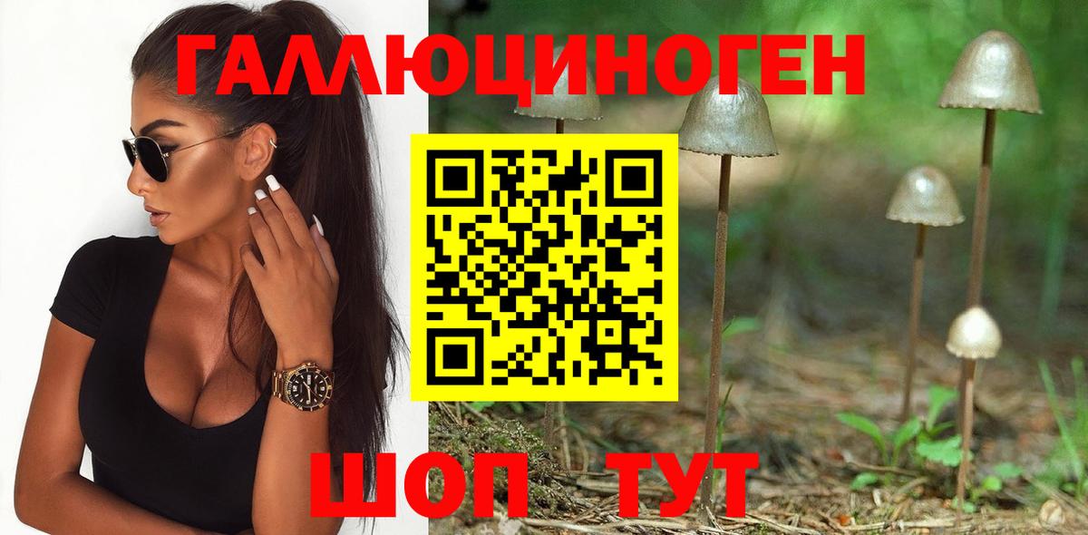 Псилоцибиновые грибы Psilocybine cubensis  Вход с VPN  Павлово 